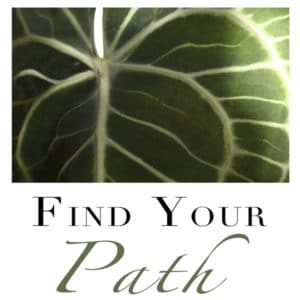 Find YOur Path